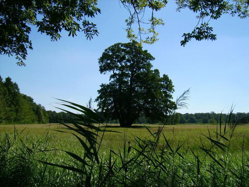 Jagdschloss Monchbruch Mörfelden-Walldorf Kültér fotó