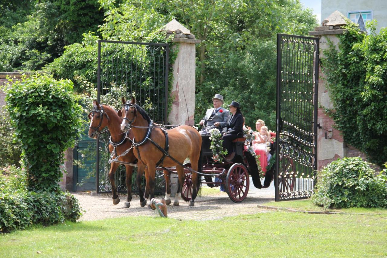 Jagdschloss Monchbruch Mörfelden-Walldorf Kültér fotó