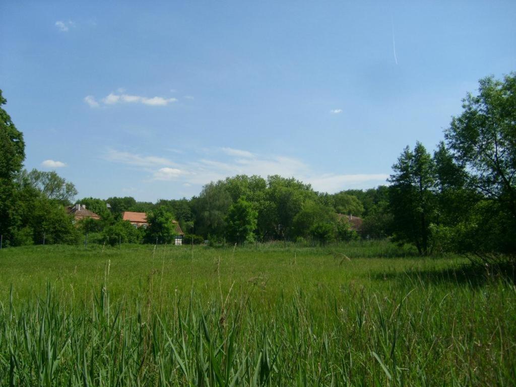 Jagdschloss Monchbruch Mörfelden-Walldorf Kültér fotó